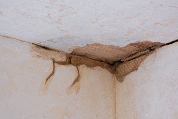 Best 24/7 water damage repair  in Dover Beaches North, NJ