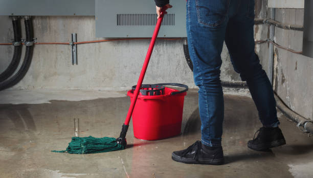 Best Professional water damage repair  in Dover Beaches North, NJ