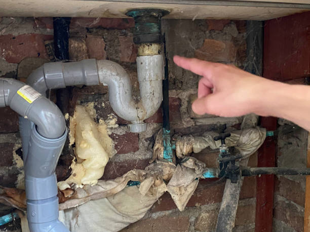 Best Local water damage restoration  in Dover Beaches North, NJ